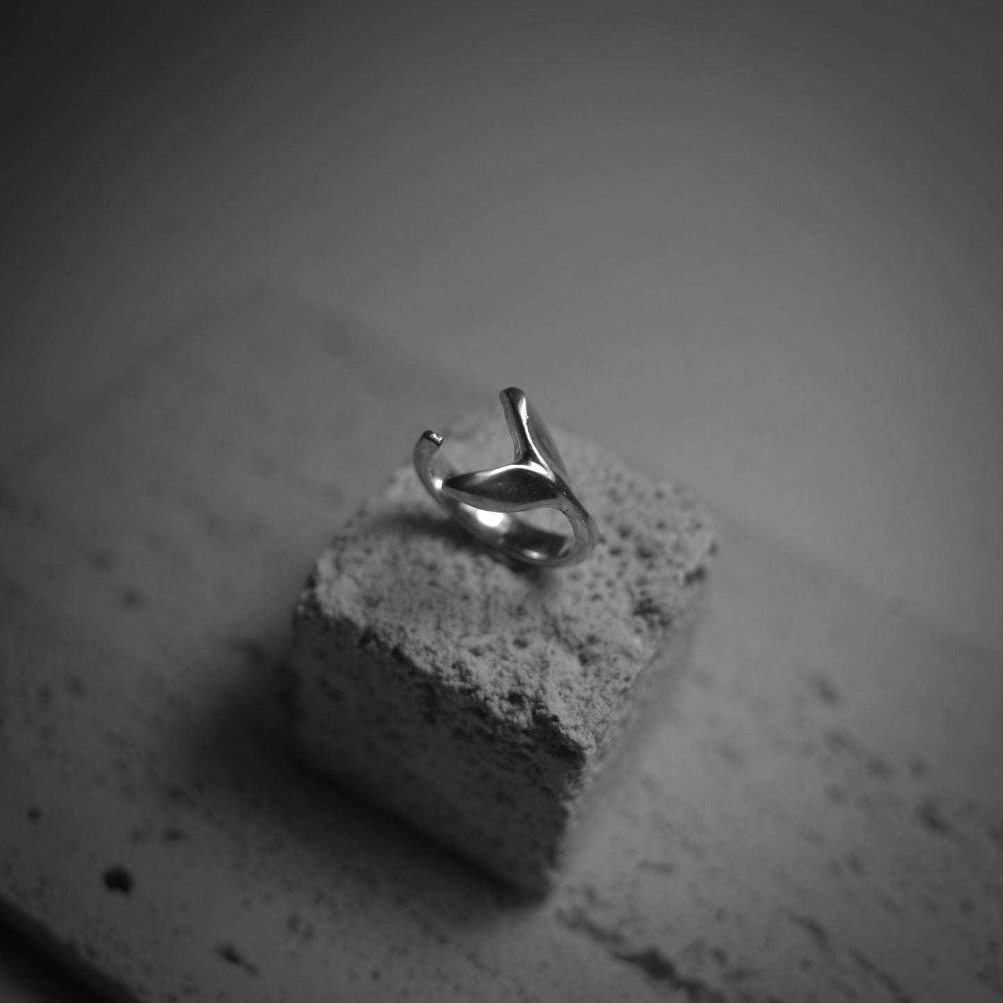 Mermaid ring 這是我愛著大海的證明