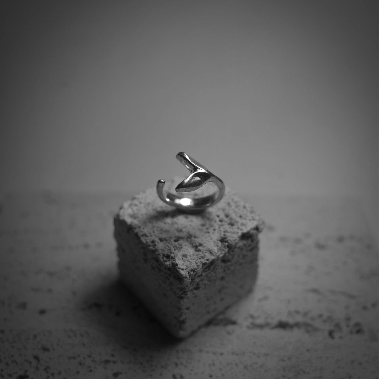 Mermaid ring 這是我愛著大海的證明